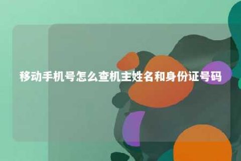 移下手机号怎么查机主姓名和身份证号码